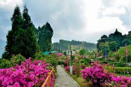 Kalimpong to Gangtok to Half day Local Sightseeing