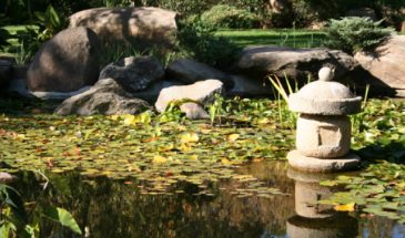 Adelaide_Himeji Garden